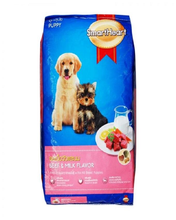 Pet Accessories Shop In Karachi Pet's Gallery
