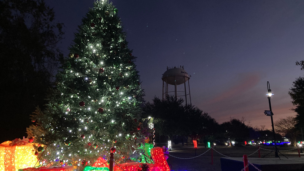 Jacksonville Christmas Lights 2023 Jacksonville hosts 'Light up the Park' event to get in holiday spirit