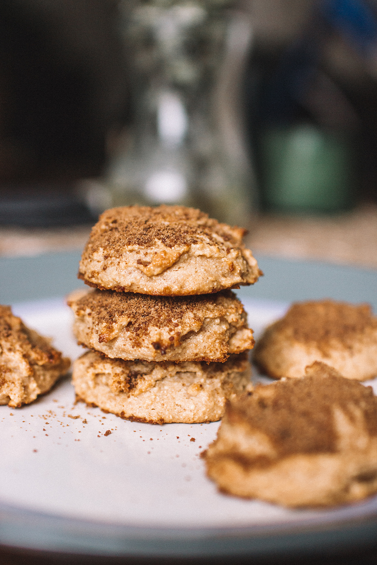 The batter may look like it's not all the. Coconut Flour Snickerdoodles - INSPIRATION BLOG