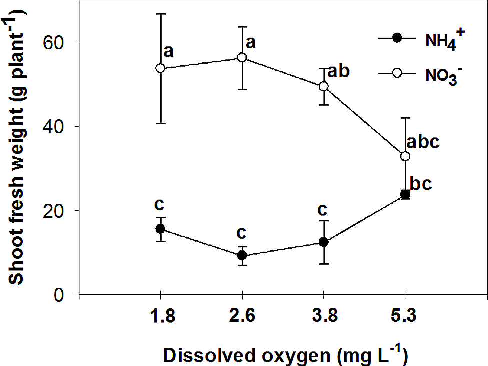 The responses of pepper plants to nitrogen form and dissolved oxygen concentration of nutrient solution in hydroponics | BMC Plant Biology