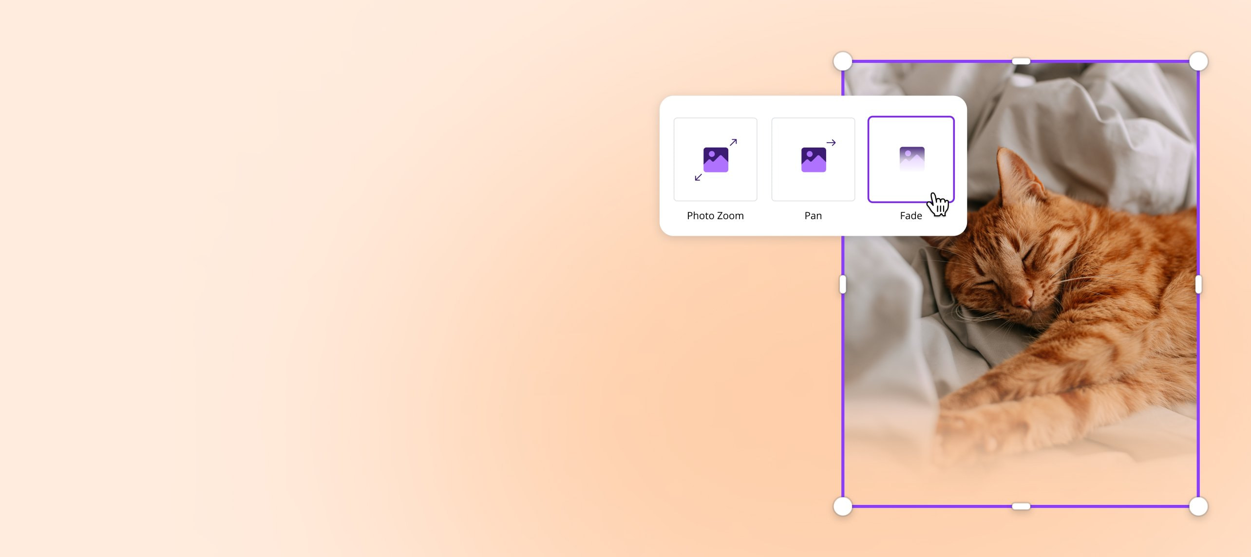 Photo Animation Animate your photos online for free Canva