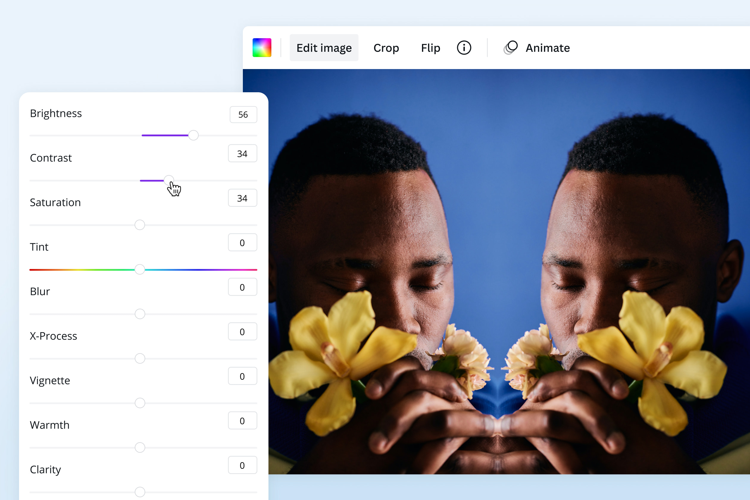 Mirror images online for free Canva
