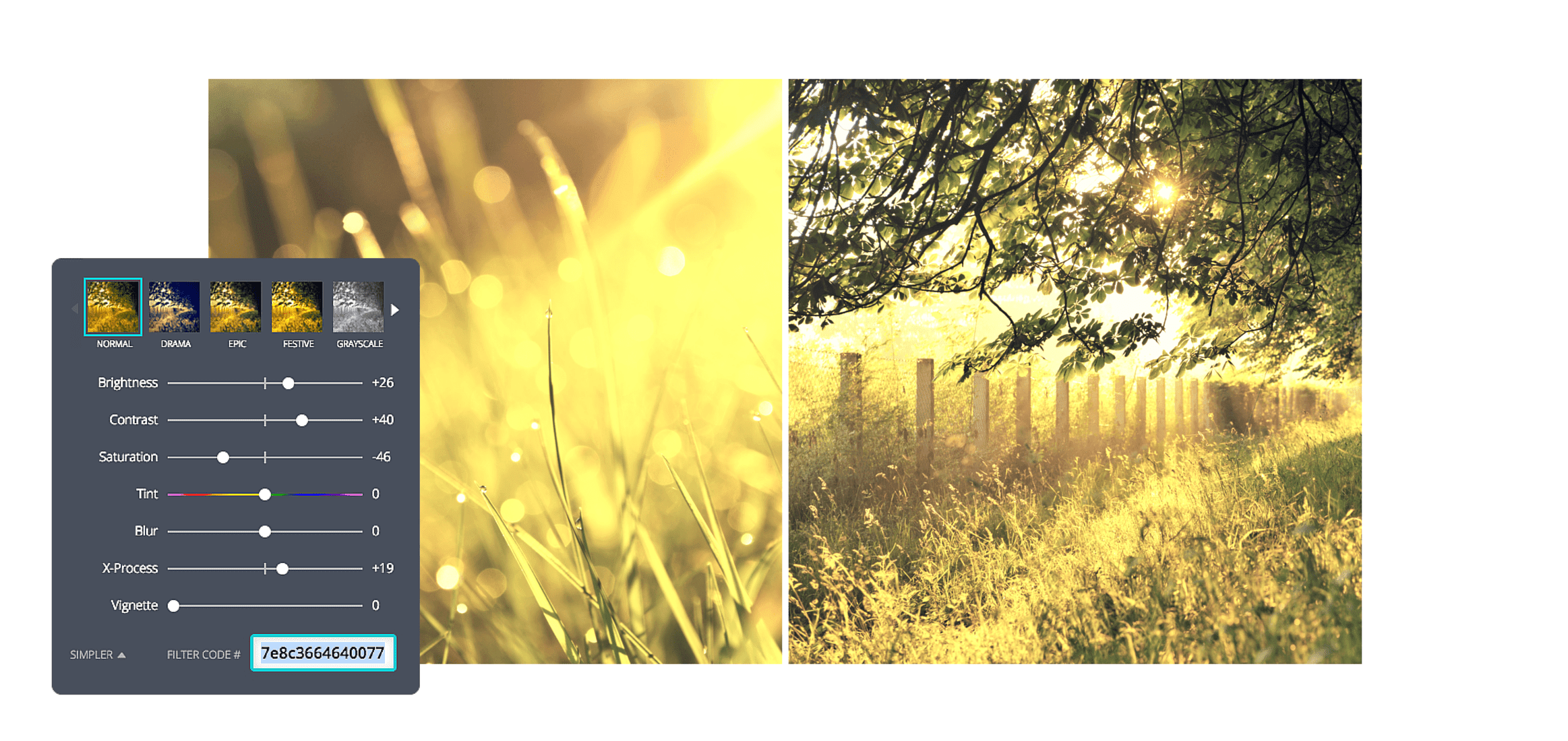 How to use photo filters to enhance your images