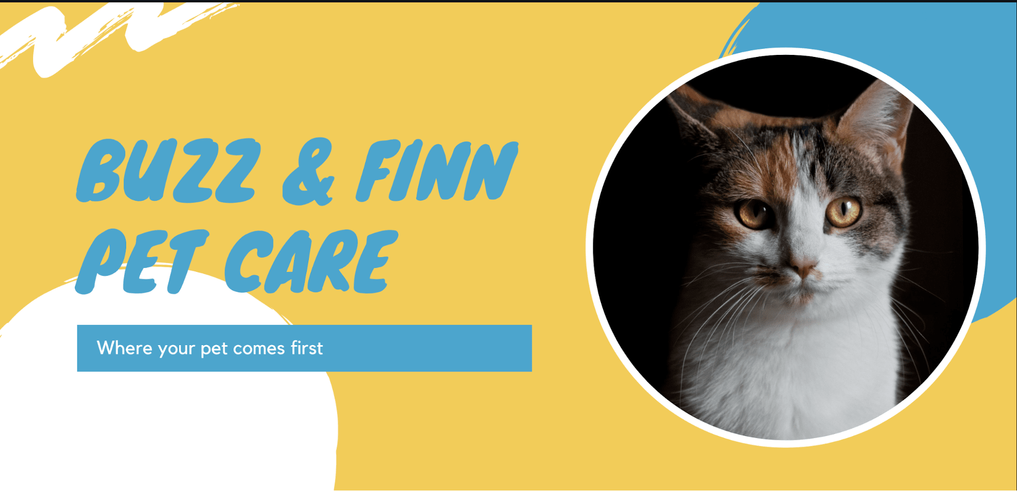 Best website color scheme examples Canva Learn