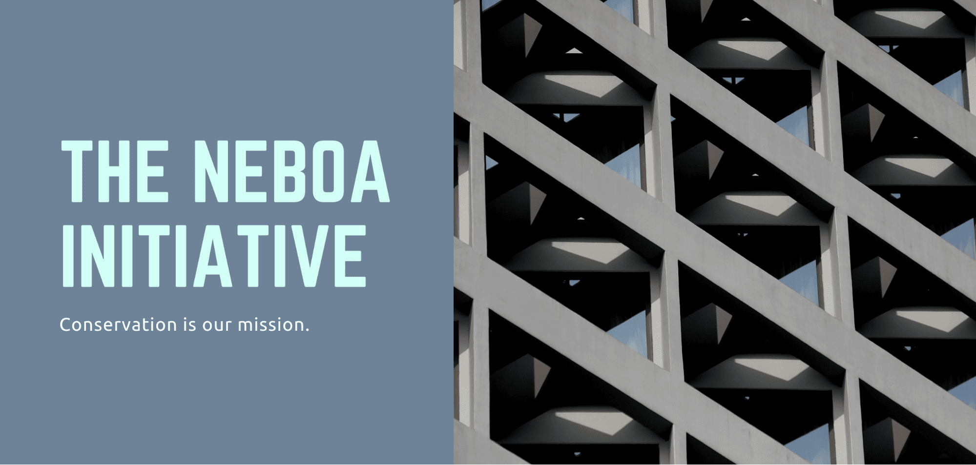 Best website color scheme examples Canva Learn