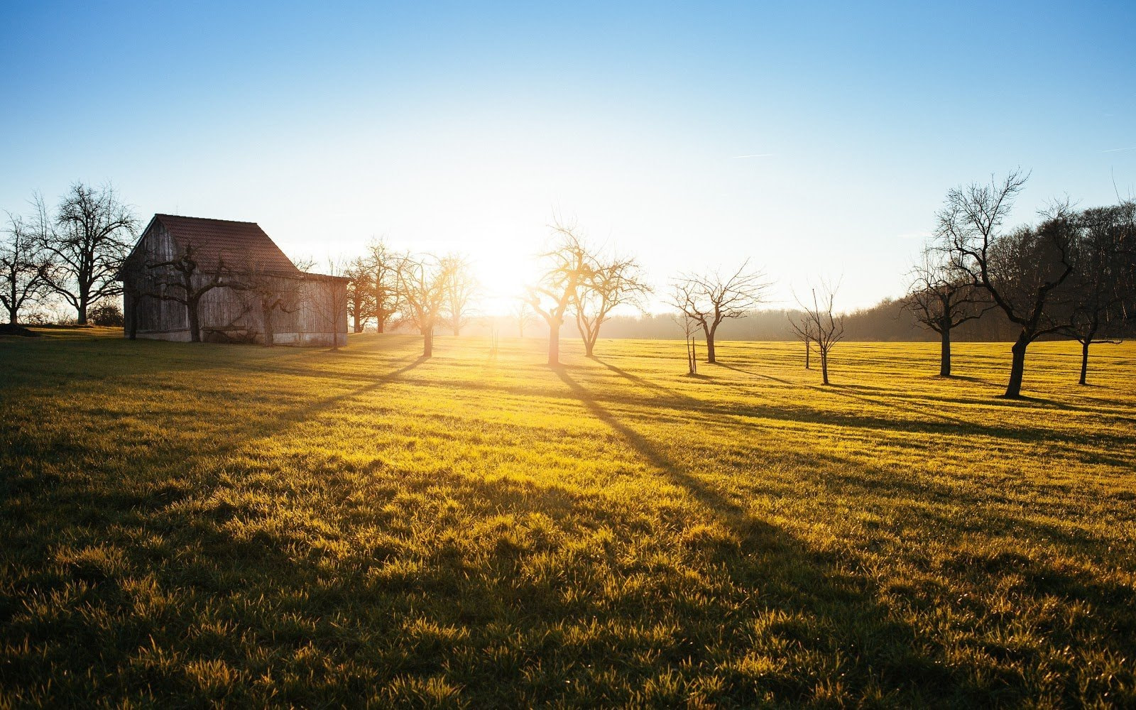 The beginner’s guide to natural light and how to use it to take great