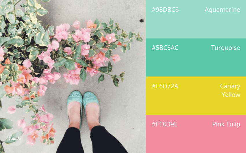 100 color combination ideas and examples Canva