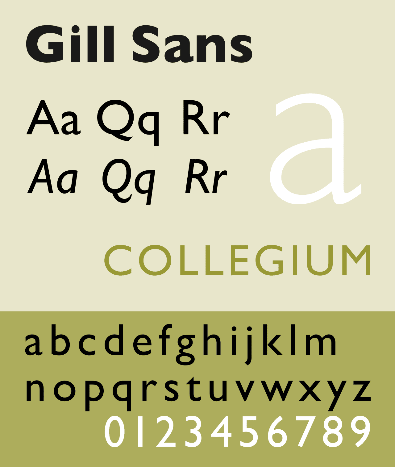 The best font for your resume according to experts Canva