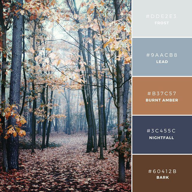 20 Palet Warna Unik Dan Mengesankan Untuk Inspirasi Anda - Canva