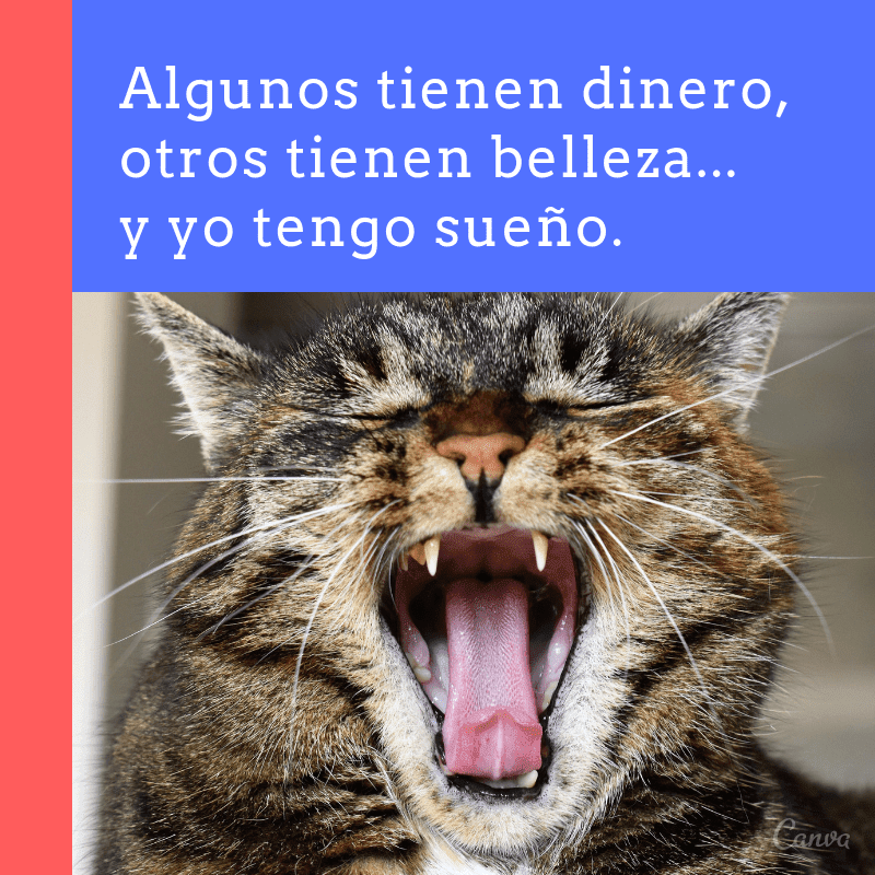 Frases chistosas para hacer reír a tus seres queridos Canva