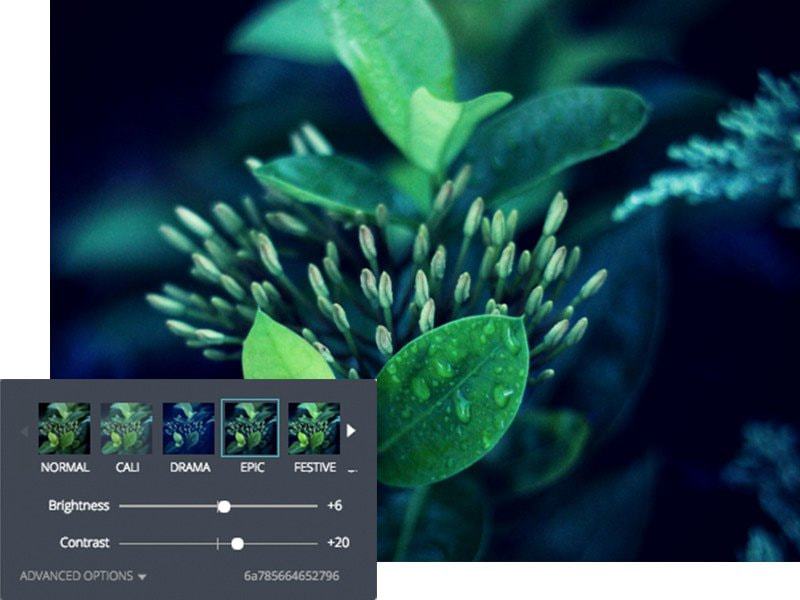 Online Photo Effects Free Photo Filters For Images Canva