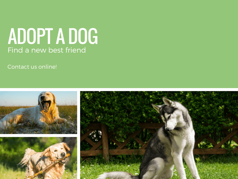 Coller et assembler gratuitement vos photos en ligne Canva