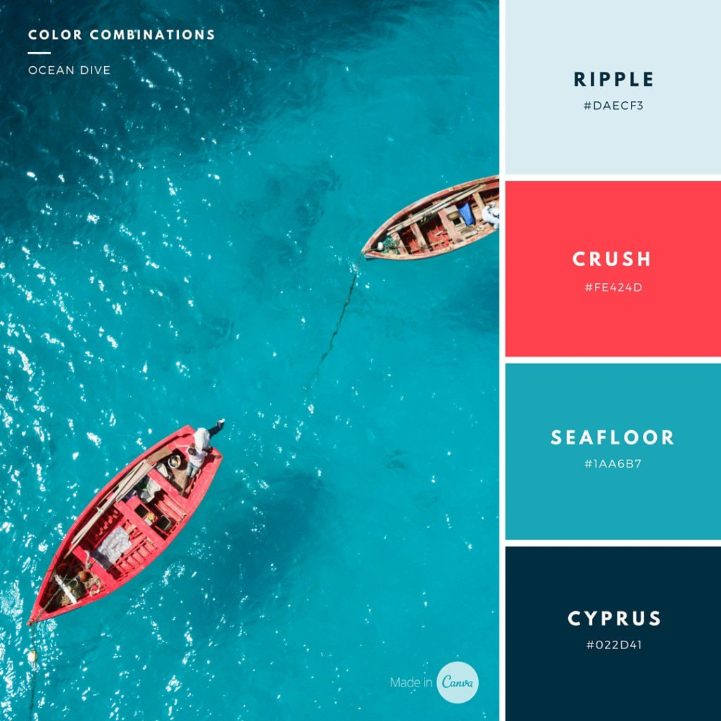 How to use color palettes in your Canva design Design School