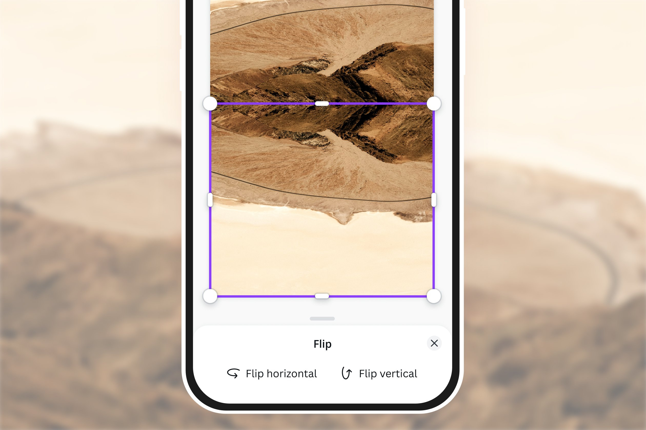 Mirror images online for free Canva