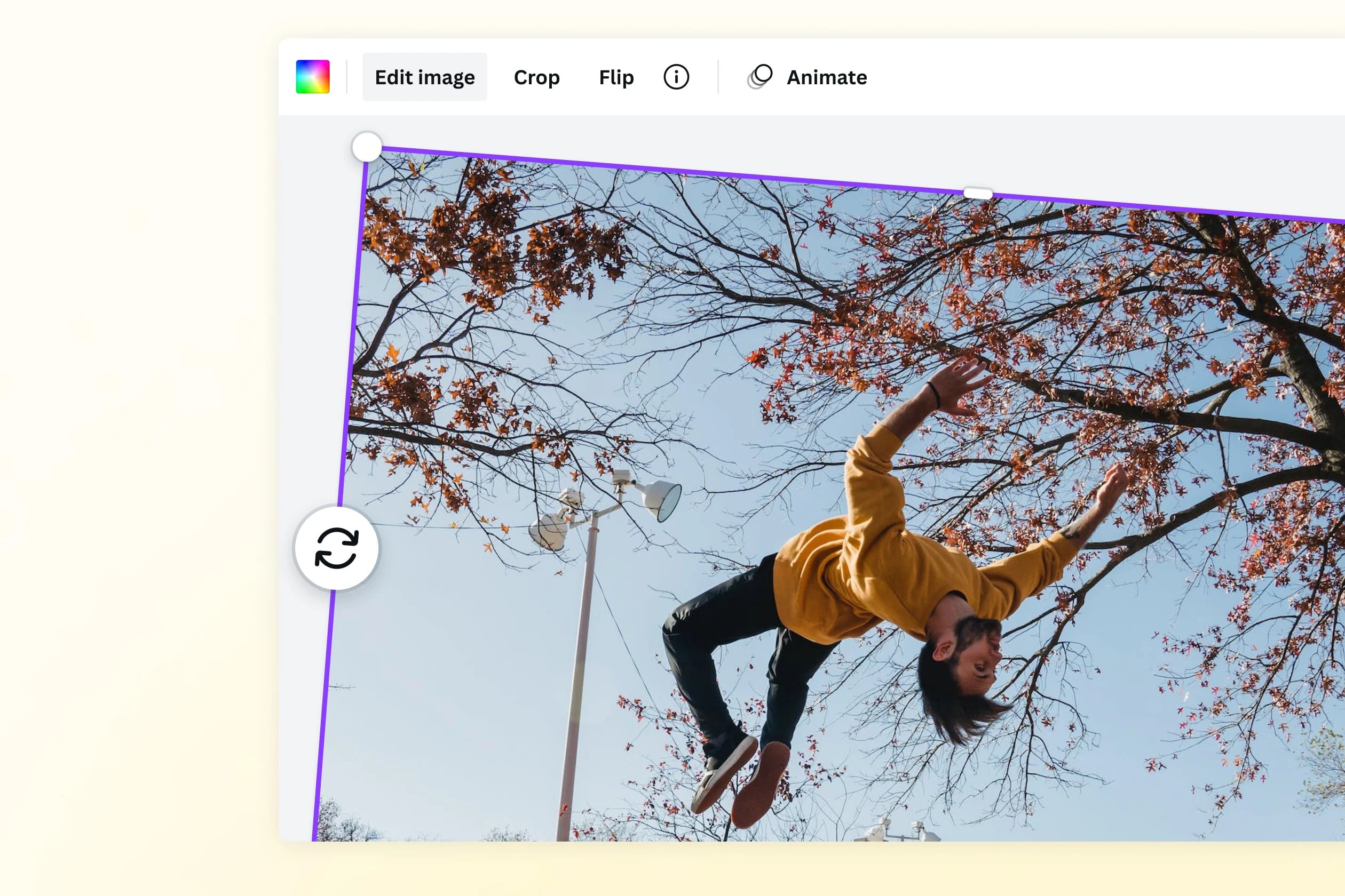 Image Rotator Rotate an Image Online for Free Canva