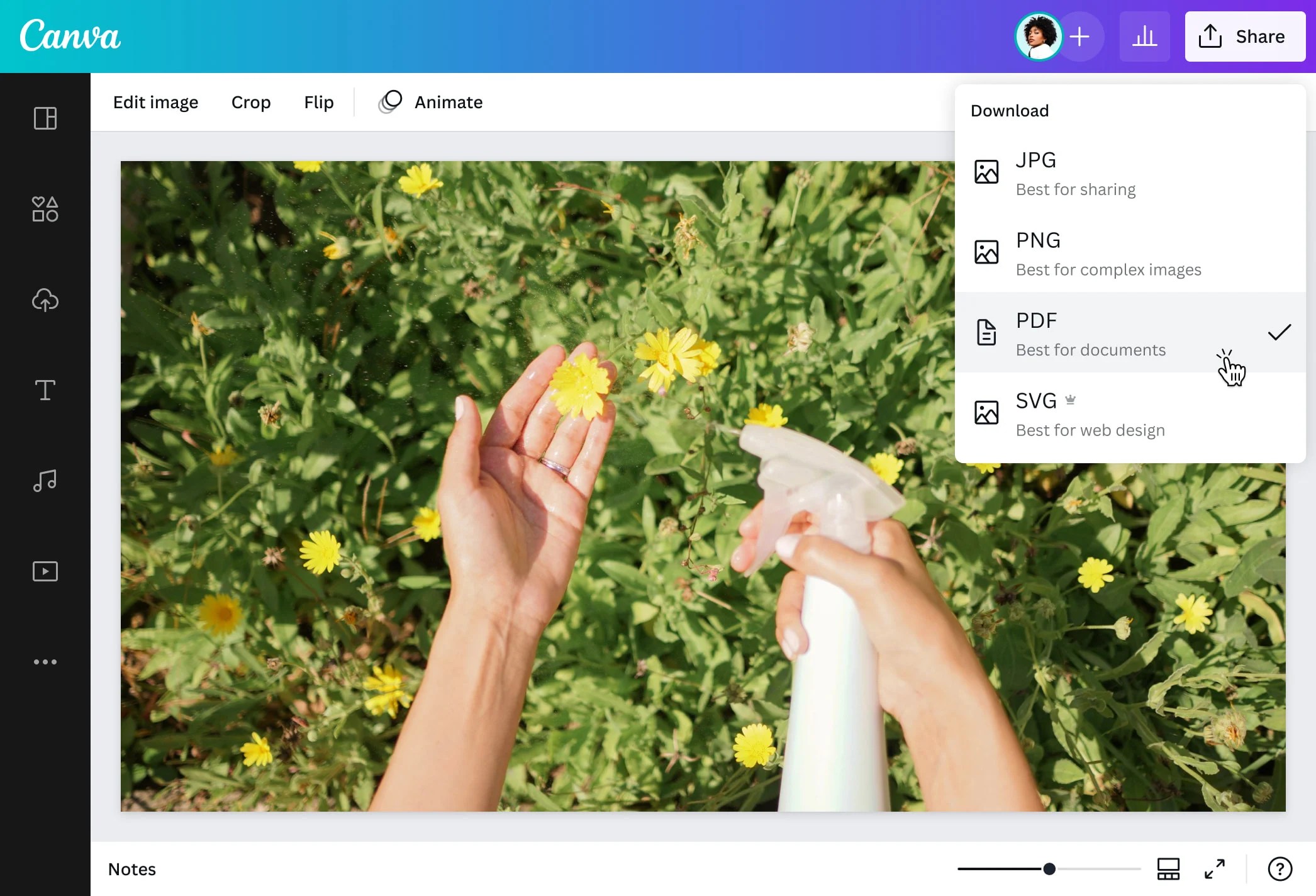 Free JPG to PDF converter Convert JPG to PDF online Canva