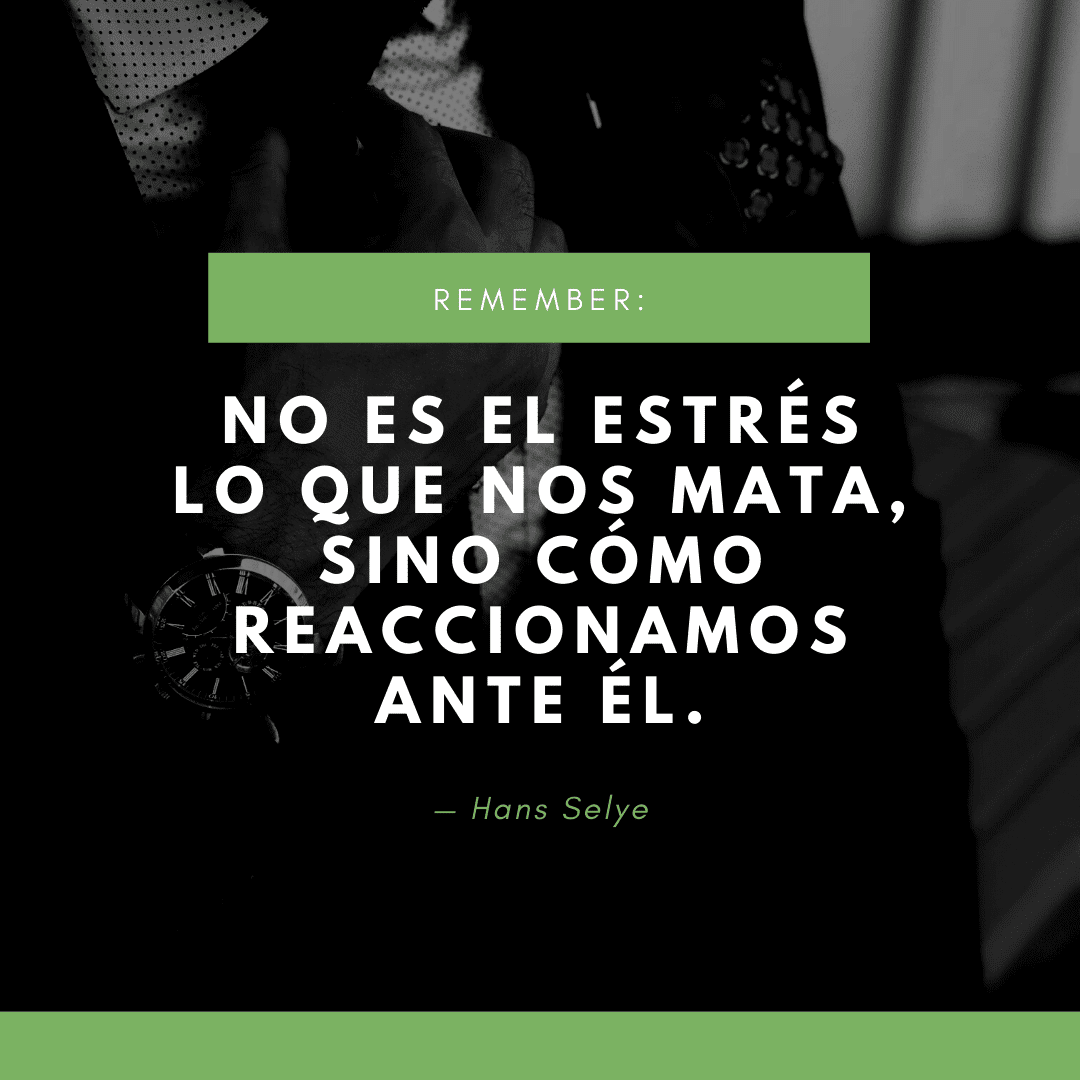 Las 207 mejores frases para afrontar la ansiedad La Mente es