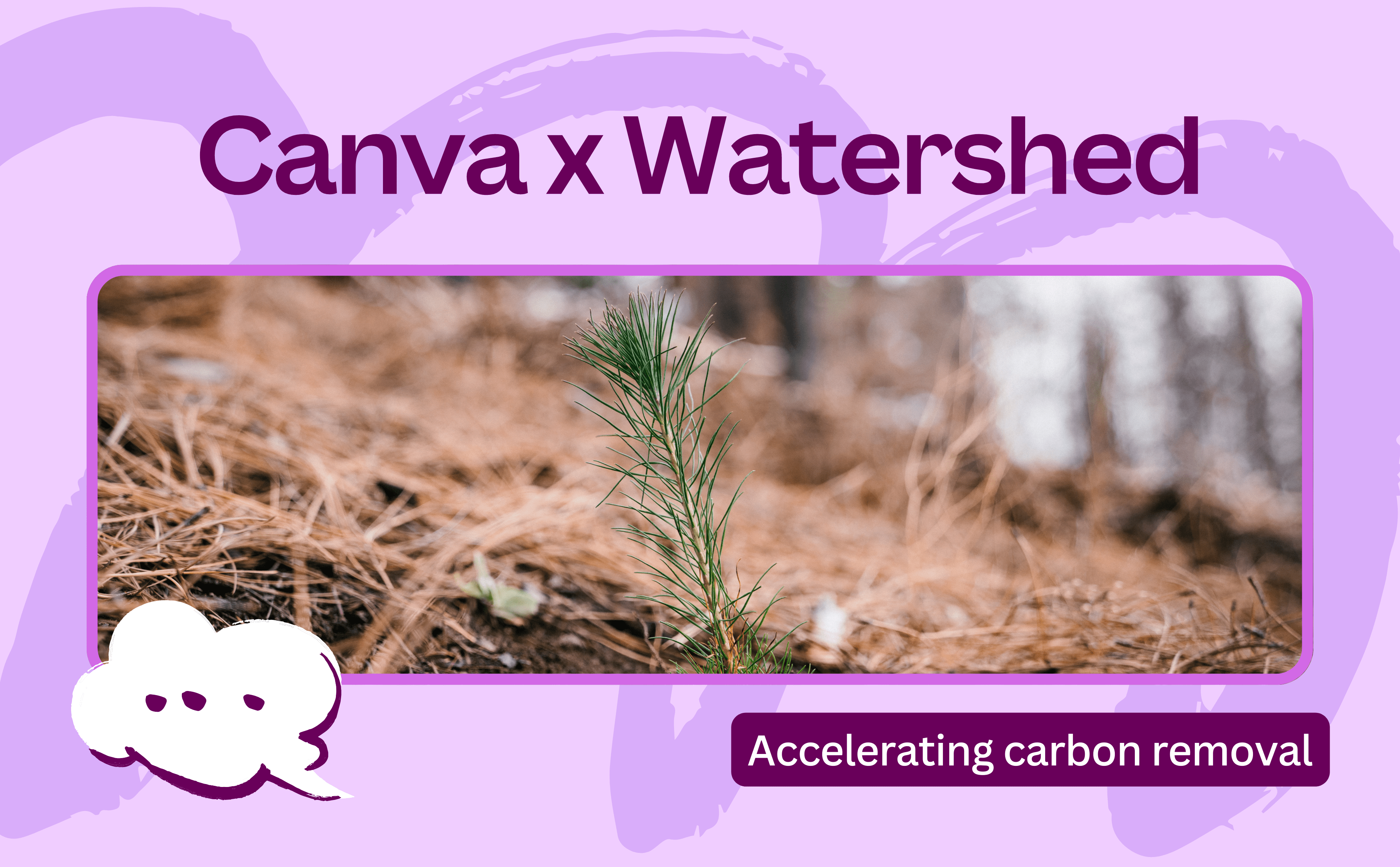 A note to the Canva Community