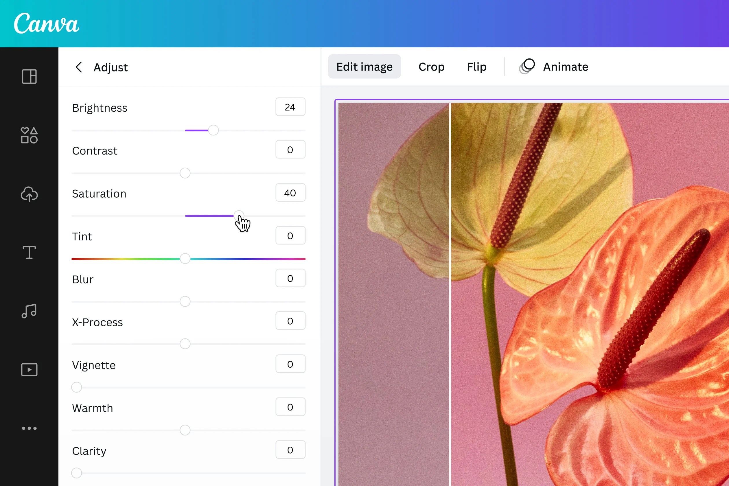Convert JPEG to JPG online for free Canva