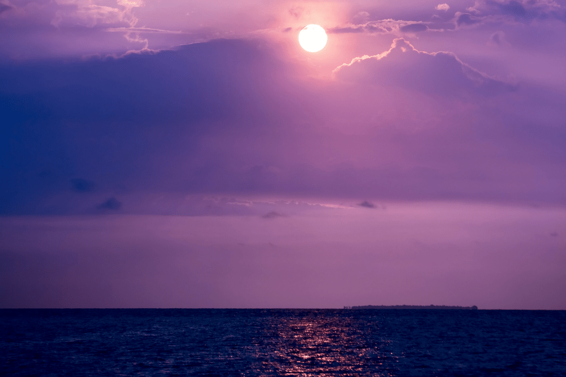 Color Combination Morning Sun Canva's Design Wiki