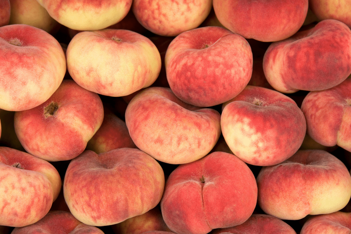 Color Combination Peach Party Canva's Design Wiki