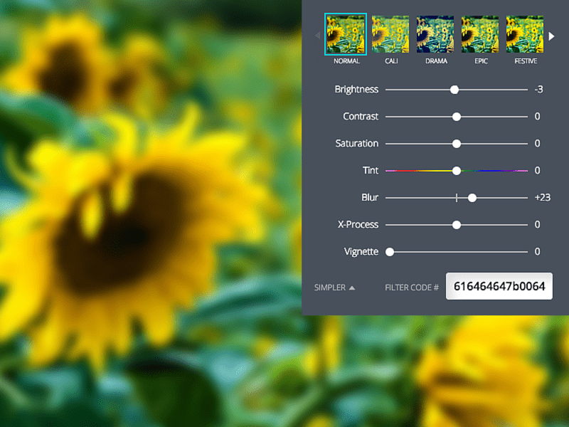 Blur Your Photo Online With Canva