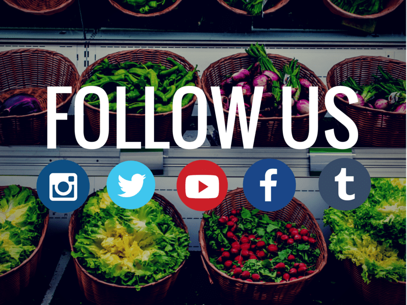 Thousands of Free Icons For Any Project Canva