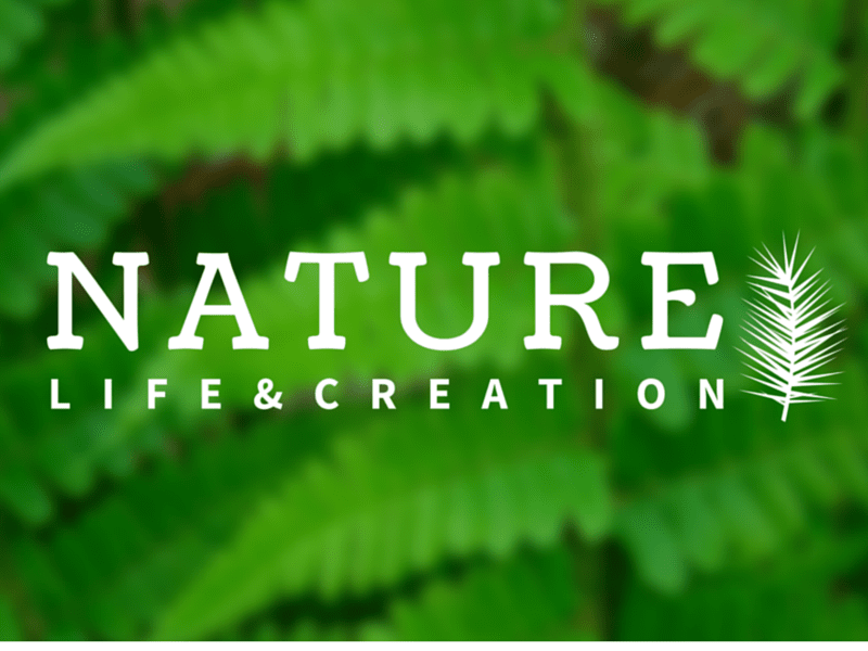 Thousands of Free Icons For Any Project Canva