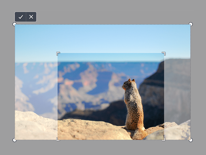 Free Image Cropper Crop Your Image Online In Canva