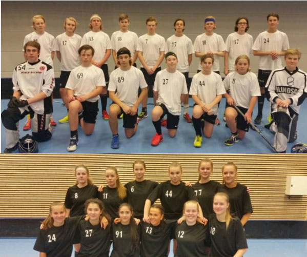 Här hittar du alla NIUgymnasium