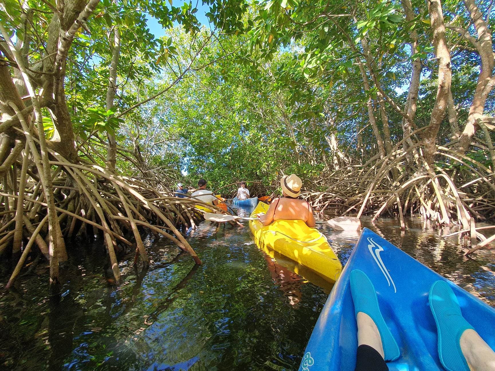 Kayak sur l'étang Mitan Deshaies à ne pas manquer , retour de séjour