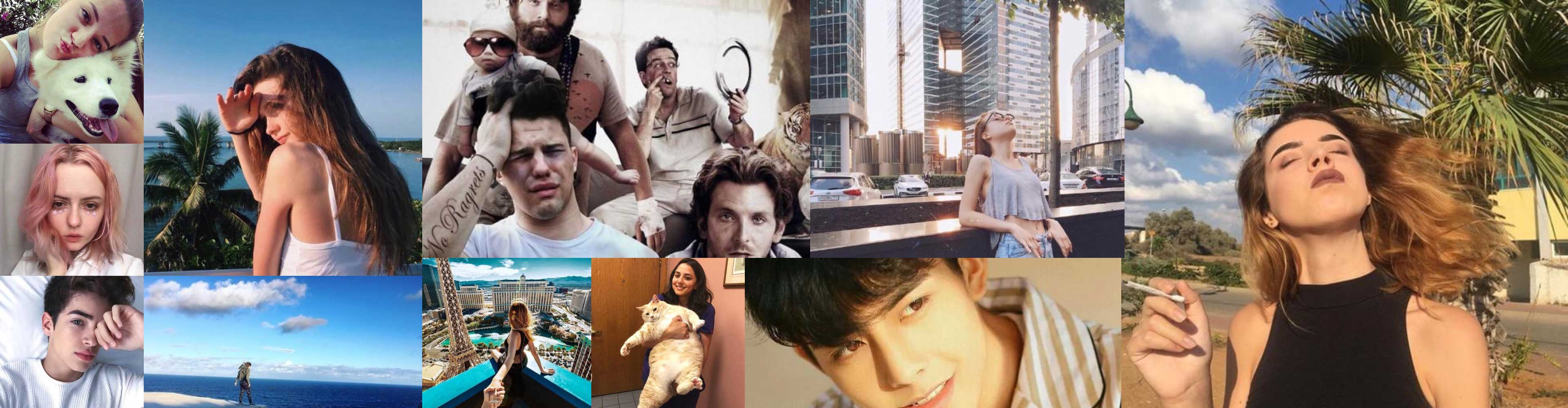 TikRank TikTok Influencers Rank TikTok Video Download