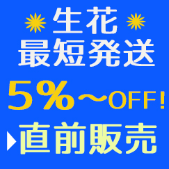 はなどんやアソシエ（楽天市場店） 花材通販はなどんやアソシエ - 花市場の親切くん