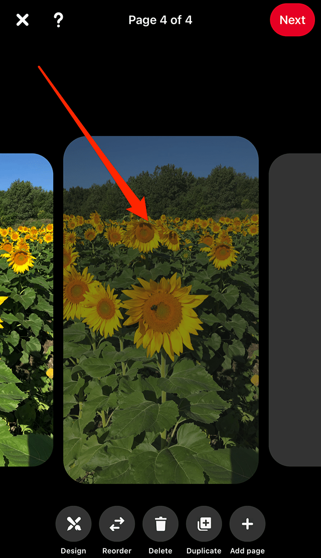Pinterest How to Duplicate a Page in a Story Pin