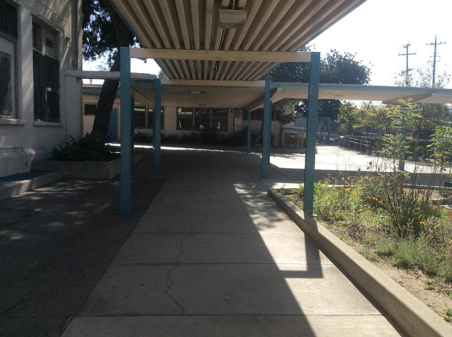 Murchison's Mission Our School Murchison Street Elementary