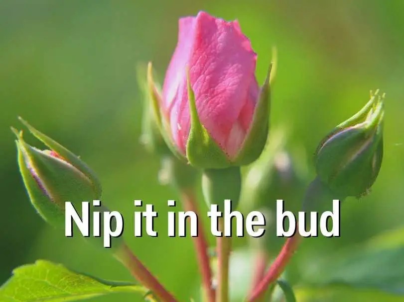 15 Words And Phrases You're Probably Saying Incorrectly Business Insider