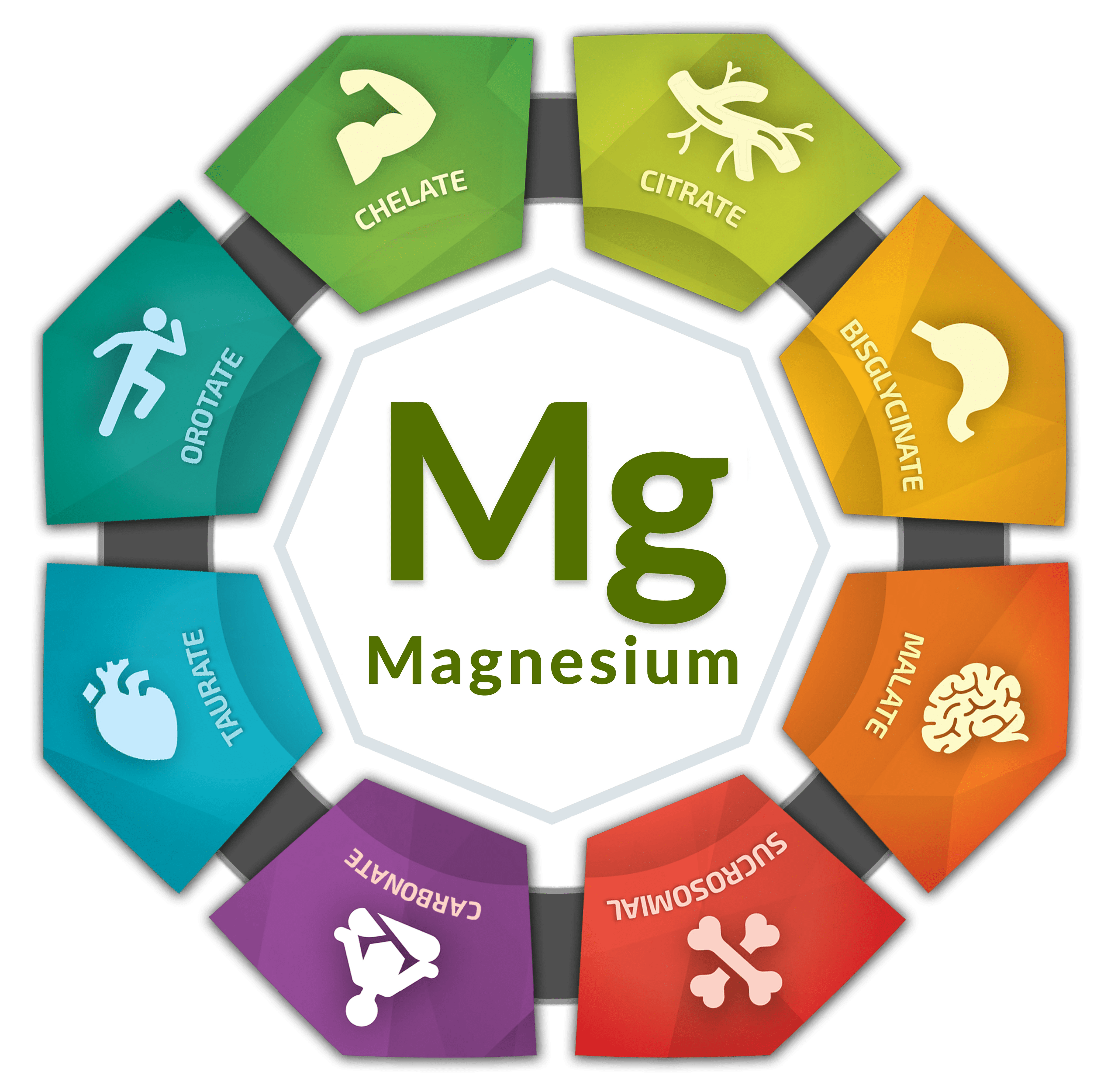 Best Magnesium Supplement Bioptimizers