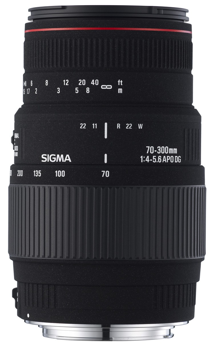 Sigma 70-300mm f/4-5.6 APO DG Macro HSM / 500px
