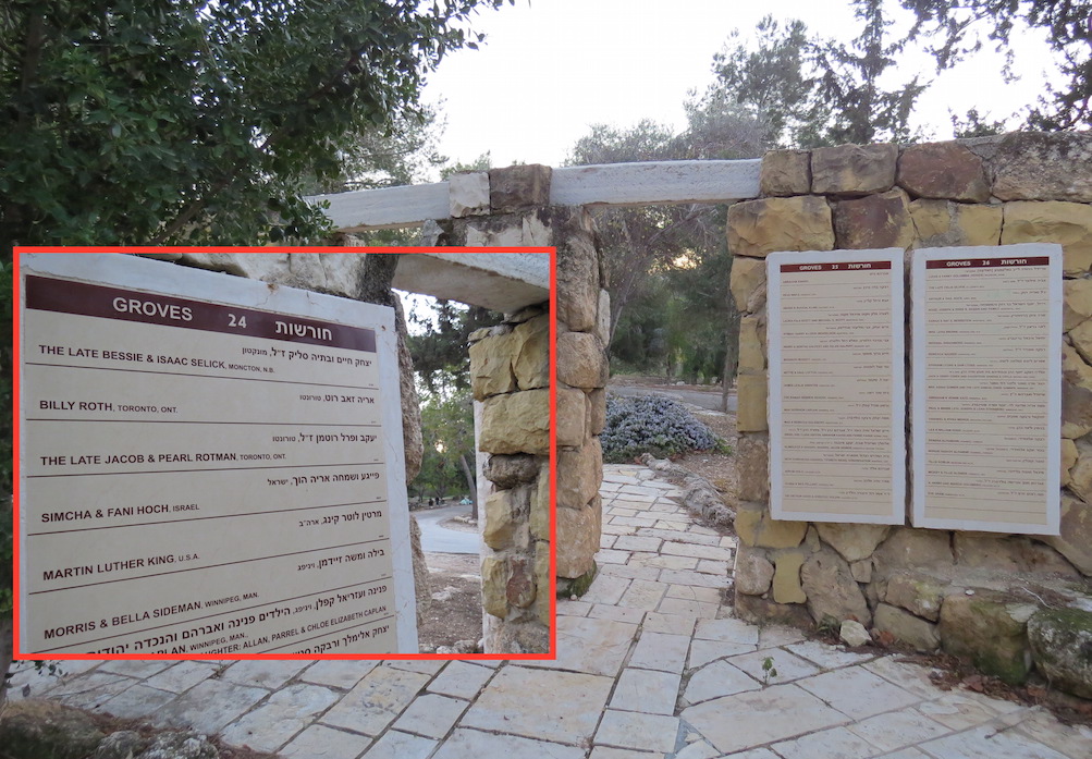 What is Martin Luther King's name doing in the ruins of a Palestinian