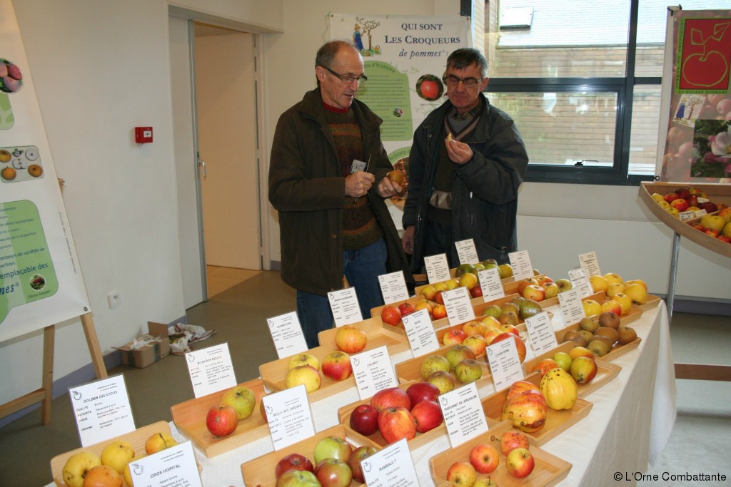 La foire SainteCatherine, à Briouze, bat son plein L'Orne Combattante