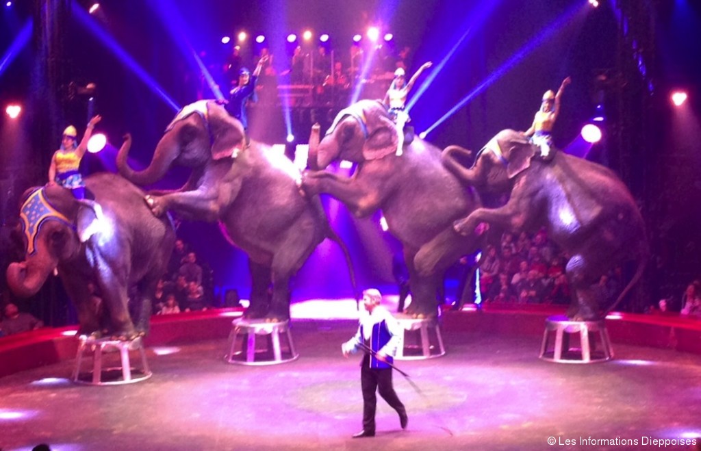 Le cirque Gruss fête ses 30 ans Les Informations Dieppoises