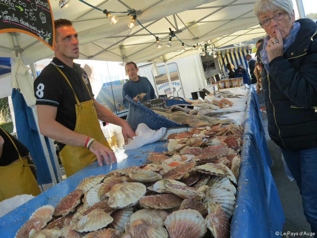 Véritable succès populaire pour la 20e fête de la coquille StJacques