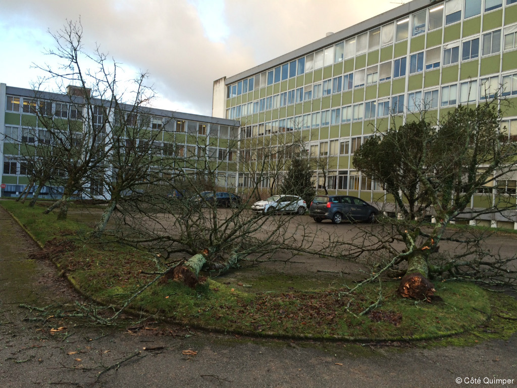 La Chambre d'agriculture prise pour cible... par les