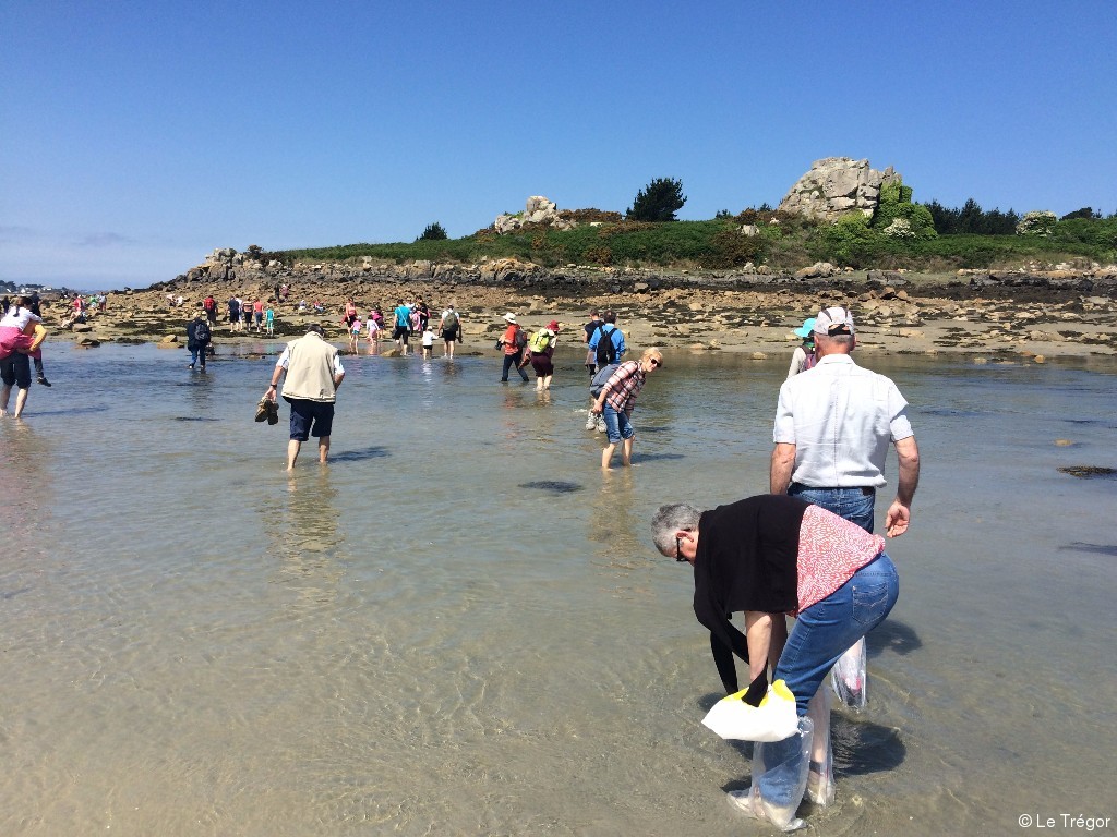Un pardon de saint Gildas très suivi actu.fr