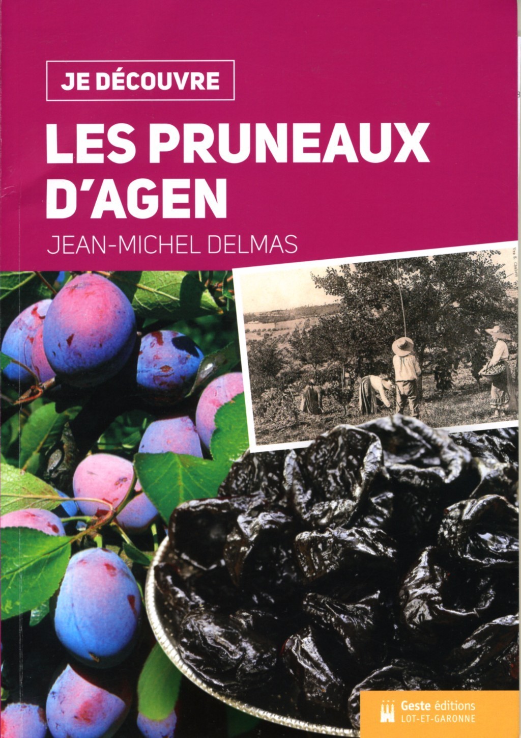 Tout savoir sur le pruneau d'Agen Le Républicain SudGironde