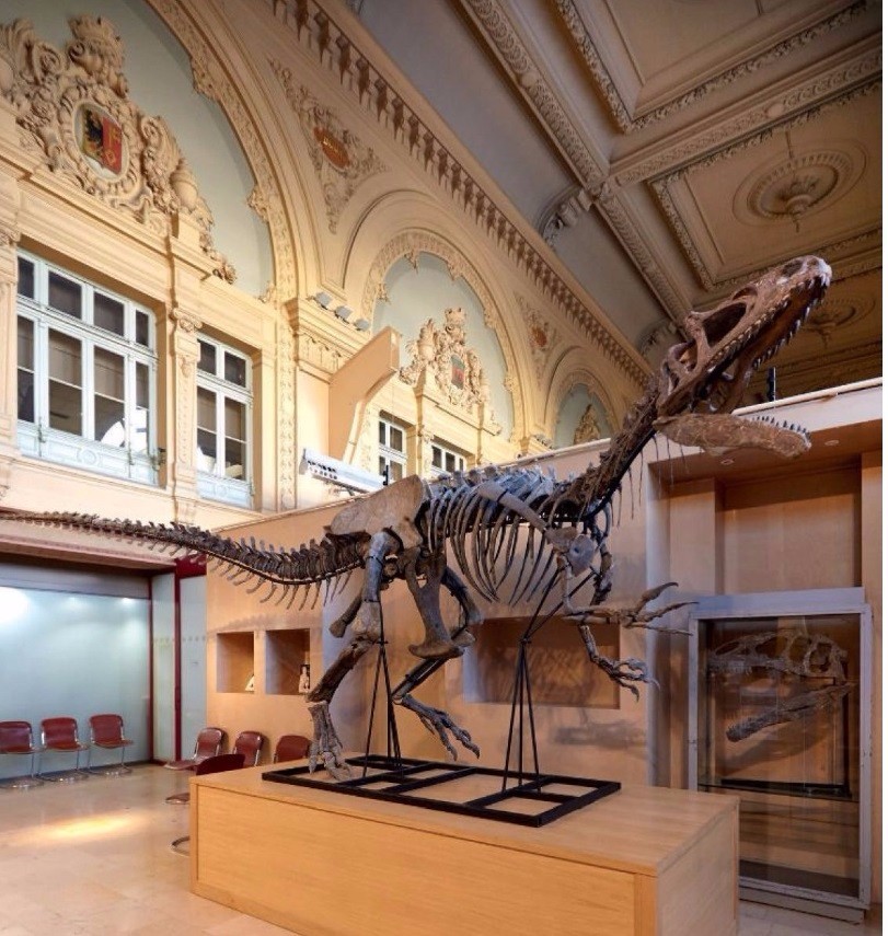 Et si le Paléospace de VillerssurMer accueillait un dinosaure à un