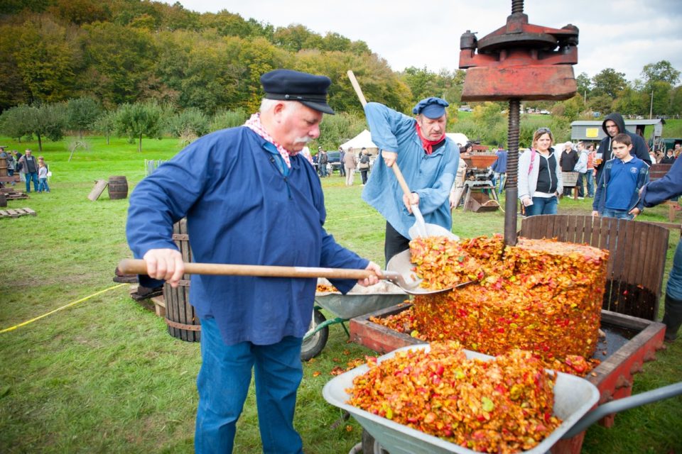 Dimanche 29 octobre c'est la fête de la pomme à ConchesenOuche La Dépêche Évreux
