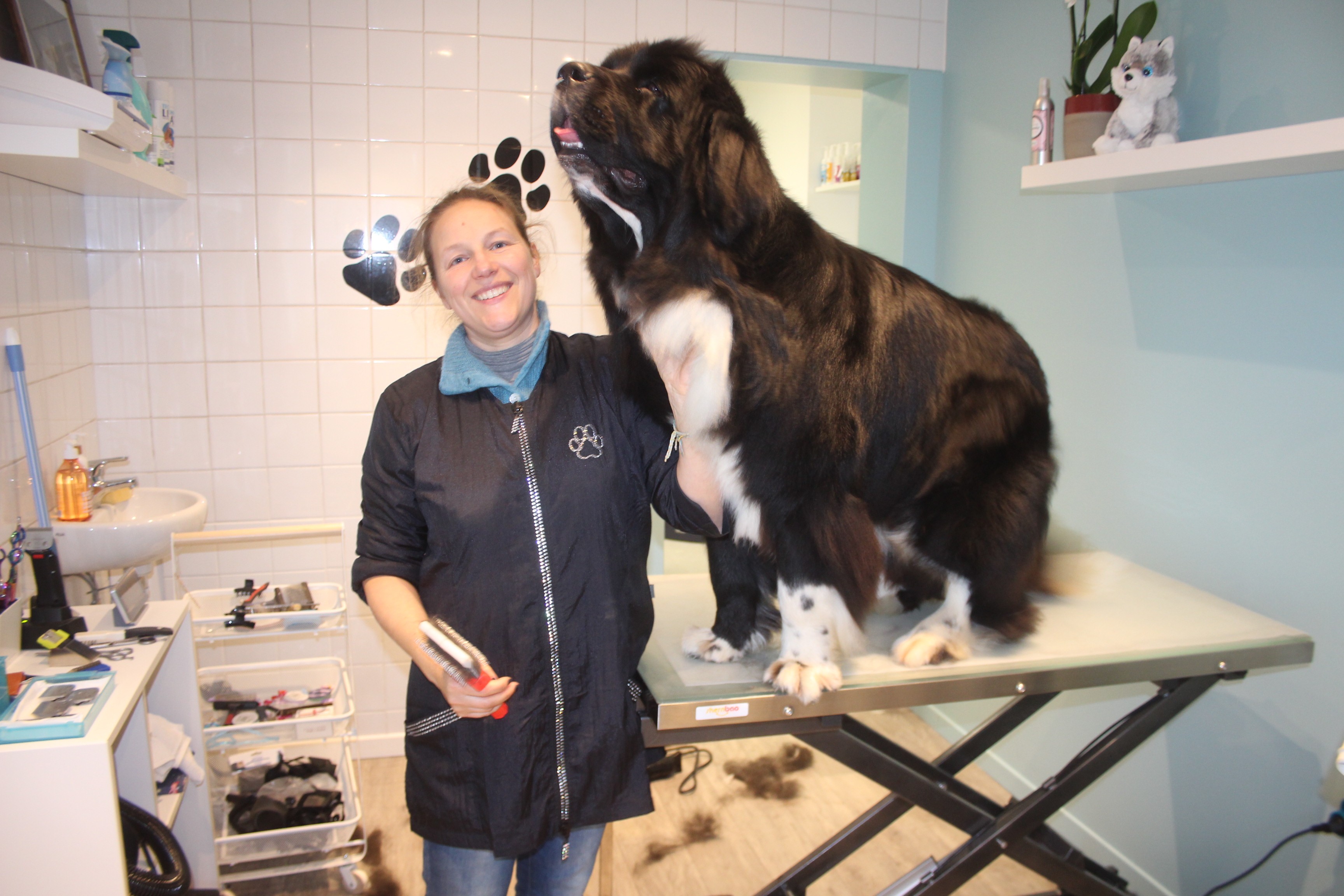 Mathilde Minéo, nouvelle toiletteuse pour chiens près de Lisieux