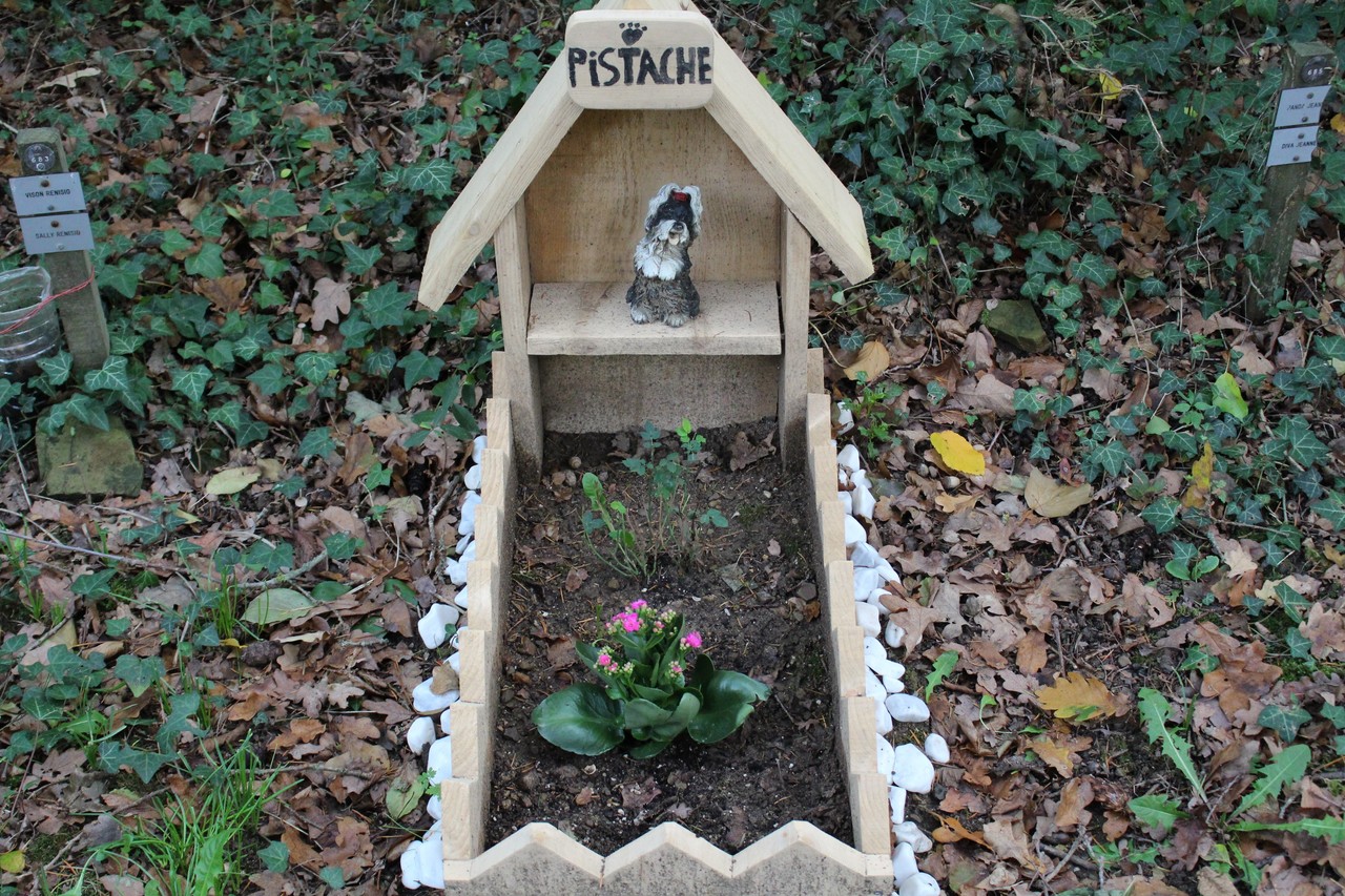 VIDÉO. En Normandie, un cimetière pour enterrer son animal de compagnie