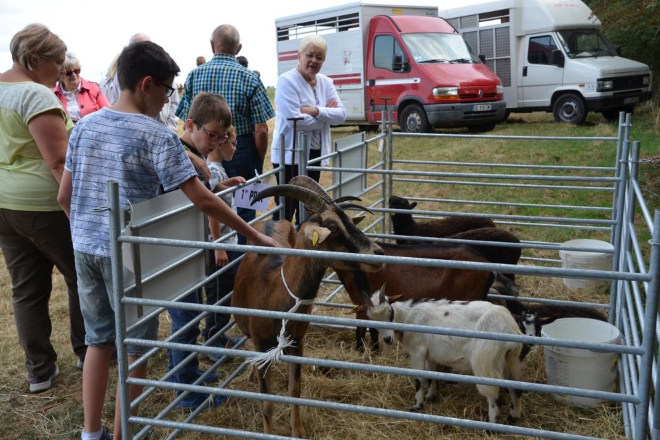 RouezenChampagne demandez le programme du comice